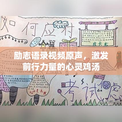 励志语录视频原声，激发前行力量的心灵鸡汤