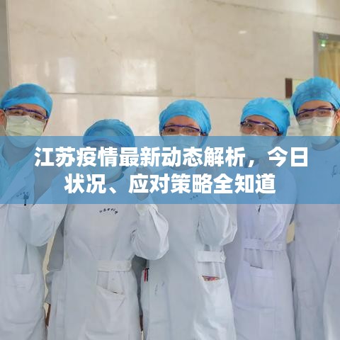 江苏疫情最新动态解析，今日状况、应对策略全知道