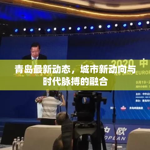 青岛最新动态，城市新动向与时代脉搏的融合