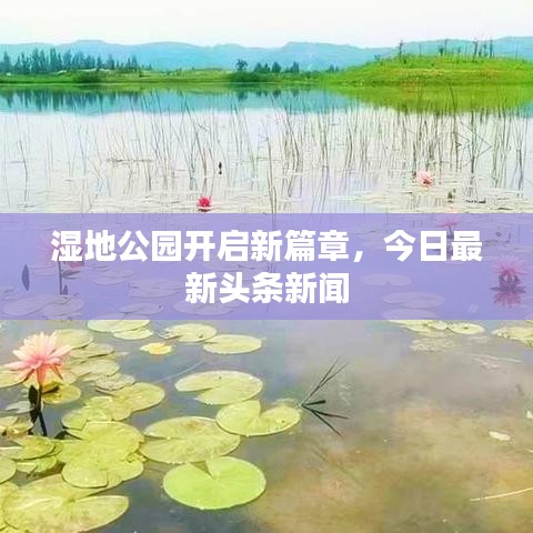 湿地公园开启新篇章，今日最新头条新闻
