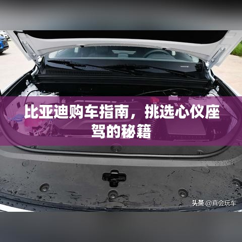 比亚迪购车指南，挑选心仪座驾的秘籍
