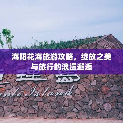 海阳花海旅游攻略，绽放之美与旅行的浪漫邂逅