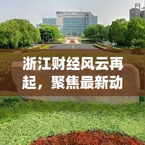 浙江财经风云再起，聚焦最新动态，解读财经新动向