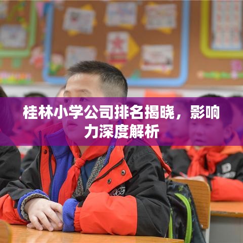 桂林小学公司排名揭晓，影响力深度解析