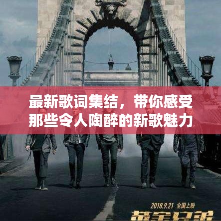 最新歌词集结，带你感受那些令人陶醉的新歌魅力