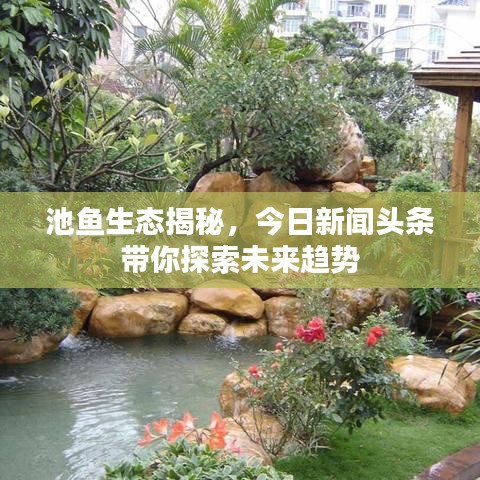 池鱼生态揭秘，今日新闻头条带你探索未来趋势