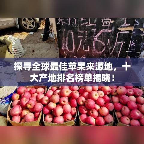 探寻全球最佳苹果来源地，十大产地排名榜单揭晓！