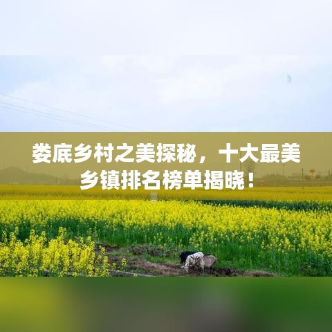 娄底乡村之美探秘，十大最美乡镇排名榜单揭晓！
