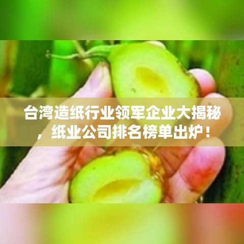 台湾造纸行业领军企业大揭秘，纸业公司排名榜单出炉！