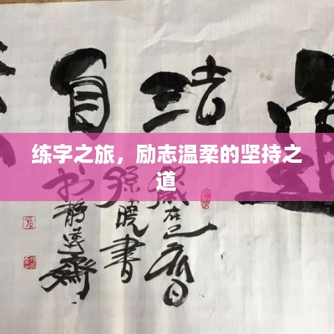 练字之旅，励志温柔的坚持之道