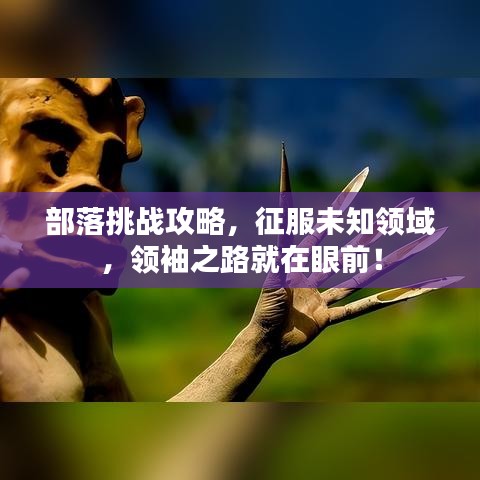 部落挑战攻略，征服未知领域，领袖之路就在眼前！
