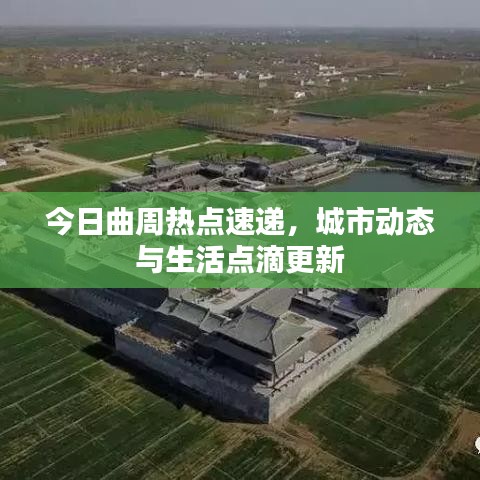 今日曲周热点速递，城市动态与生活点滴更新