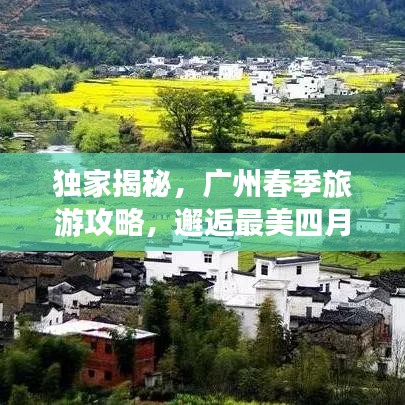 独家揭秘，广州春季旅游攻略，邂逅最美四月天
