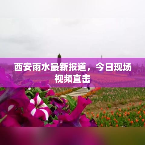 西安雨水最新报道，今日现场视频直击