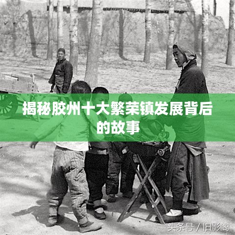 2025年6月 第224页