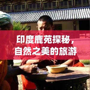 印度鹿苑探秘，自然之美的旅游攻略
