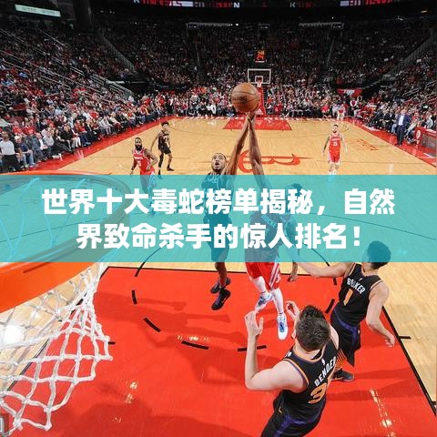 世界十大毒蛇榜单揭秘，自然界致命杀手的惊人排名！