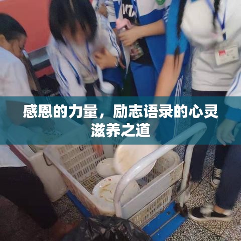 感恩的力量，励志语录的心灵滋养之道