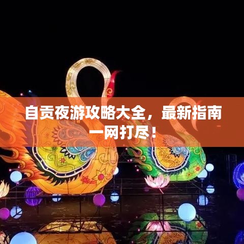 自贡夜游攻略大全，最新指南一网打尽！
