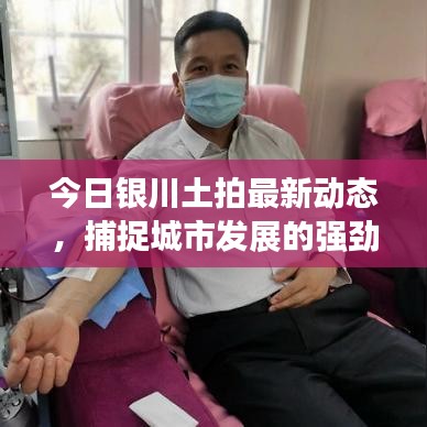 今日银川土拍最新动态，捕捉城市发展的强劲脉搏