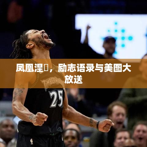 凤凰涅槃，励志语录与美图大放送