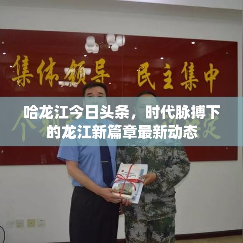 哈龙江今日头条，时代脉搏下的龙江新篇章最新动态