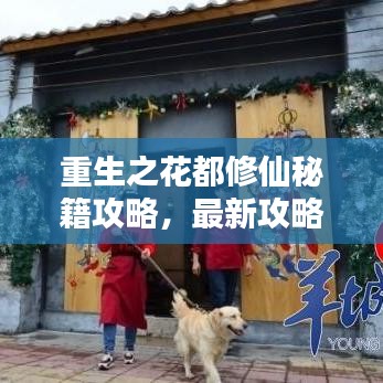 重生之花都修仙秘籍攻略，最新攻略大揭秘！