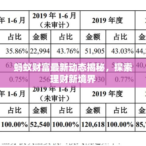 蚂蚁财富最新动态揭秘，探索理财新境界