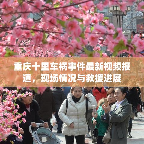 重庆十里车祸事件最新视频报道，现场情况与救援进展
