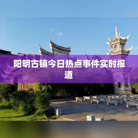 阳明古镇今日热点事件实时报道