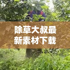 除草大叔最新素材下载与安装指南，全面教程与实用建议一网打尽！