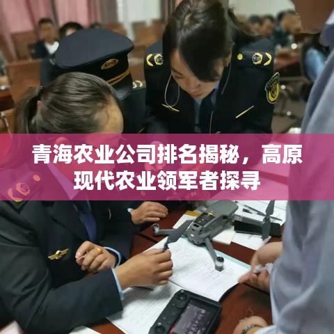 青海农业公司排名揭秘，高原现代农业领军者探寻