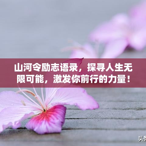 山河令励志语录，探寻人生无限可能，激发你前行的力量！