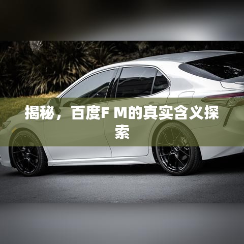 揭秘，百度F M的真实含义探索