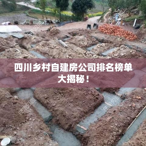 四川乡村自建房公司排名榜单大揭秘！