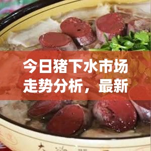 今日猪下水市场走势分析，最新报价与行情展望