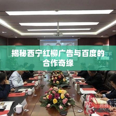 揭秘西宁红柳广告与百度的合作奇缘