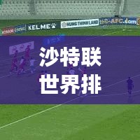 沙特联世界排名飙升，探寻中东足球强国的新征程