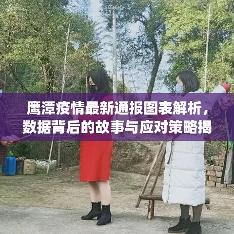 鹰潭疫情最新通报图表解析，数据背后的故事与应对策略揭秘