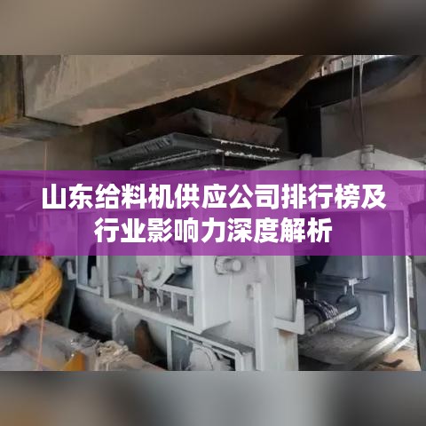 山东给料机供应公司排行榜及行业影响力深度解析
