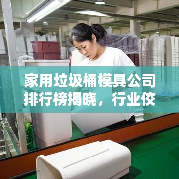 家用垃圾桶模具公司排行榜揭晓，行业佼佼者深度探寻！