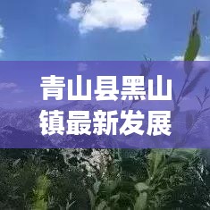 青山县黑山镇最新发展动态大揭秘，新闻头条揭示地方崭新面貌