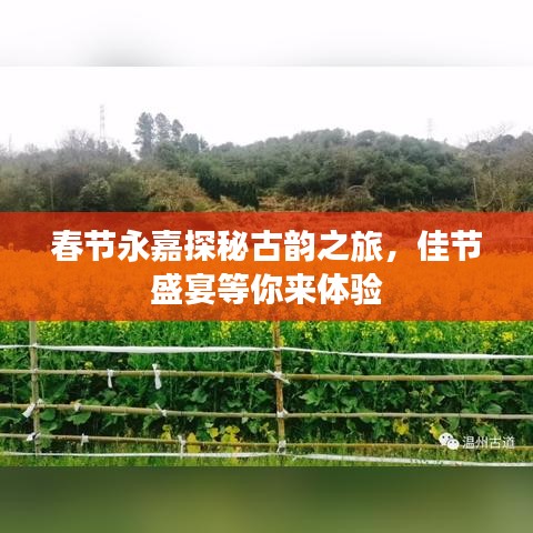 春节永嘉探秘古韵之旅，佳节盛宴等你来体验