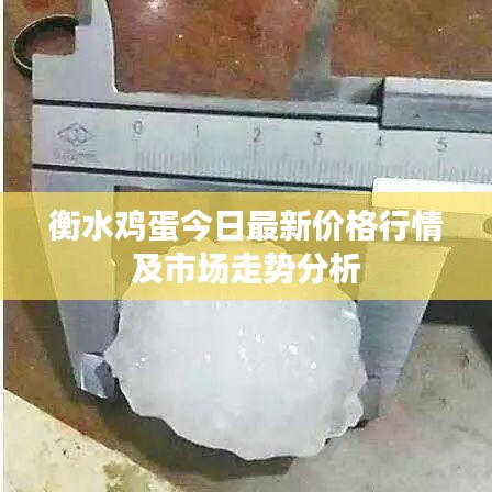 衡水鸡蛋今日最新价格行情及市场走势分析