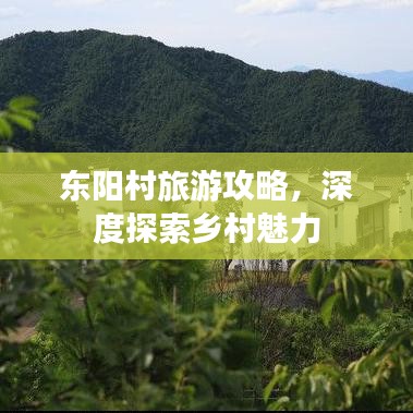 东阳村旅游攻略，深度探索乡村魅力