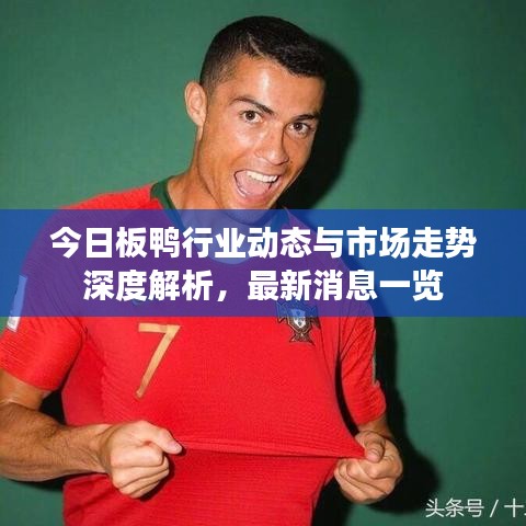 今日板鸭行业动态与市场走势深度解析，最新消息一览