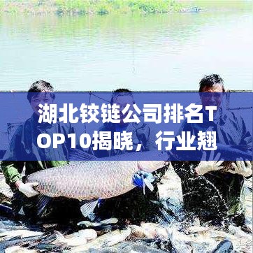 湖北铰链公司排名TOP10揭晓，行业翘楚引领发展潮流