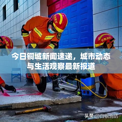 今日铜城新闻速递，城市动态与生活观察最新报道
