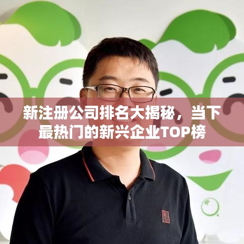 新注册公司排名大揭秘，当下最热门的新兴企业TOP榜