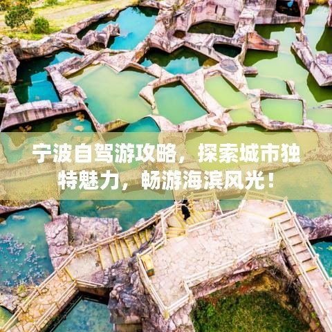 宁波自驾游攻略，探索城市独特魅力，畅游海滨风光！
